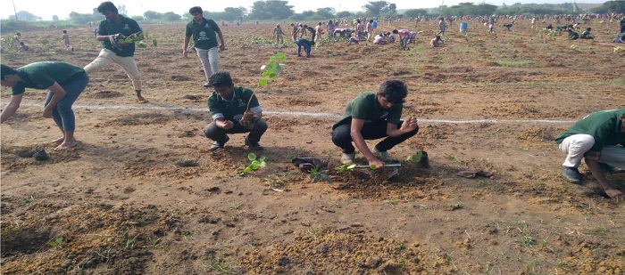 Tree Plantation Program at Kannankottai village, Gummidipoondi Taluk